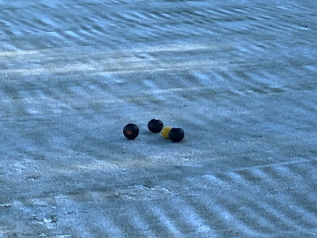 Springwood Photoshoot