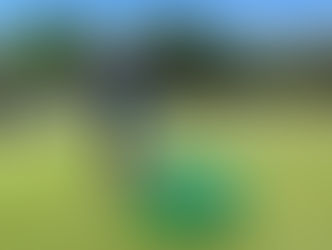 Local club's £12,500 mower stolen to order