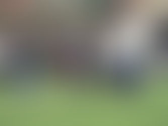 Primrose Hill Lib in the sunshine