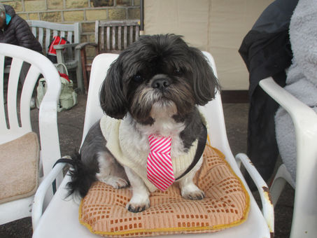 Photos from on and around the green