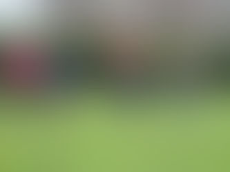 Thorpe Green photoshoot