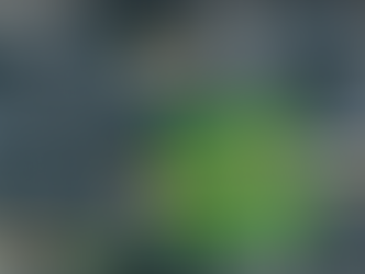 Town Centre bowling green