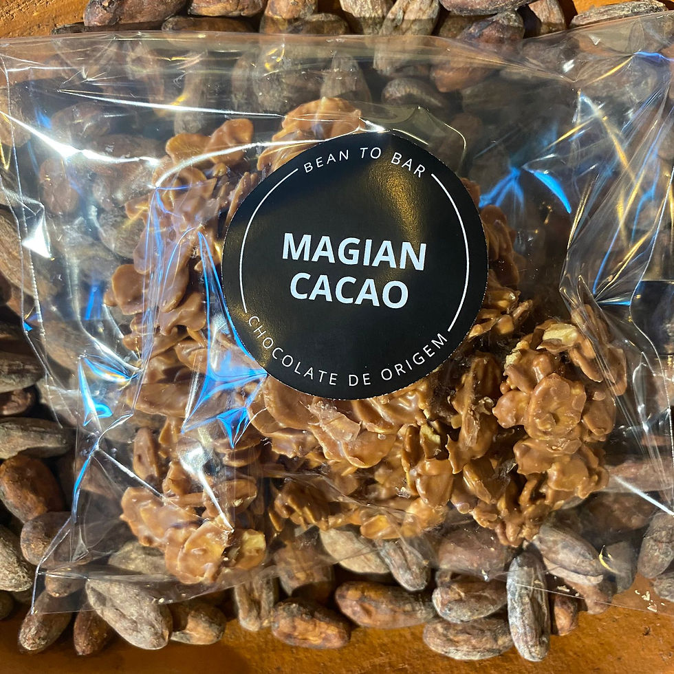 45% AO LEITE + AMÊNDOAS LAMINADAS 100G