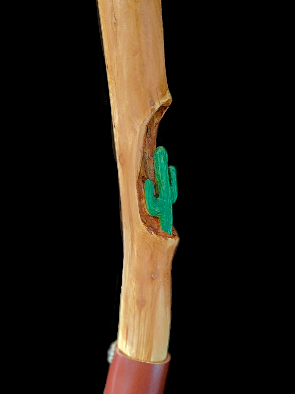 Thumbnail: The Grand Canyon - Walking Stick