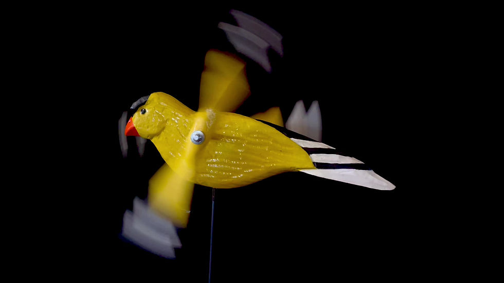 Thumbnail: American Goldfinch  Whirligig