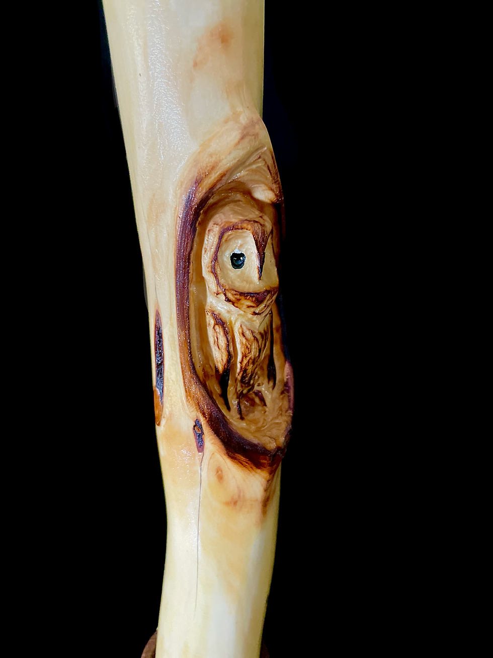 Thumbnail: Owl - Walking Stick