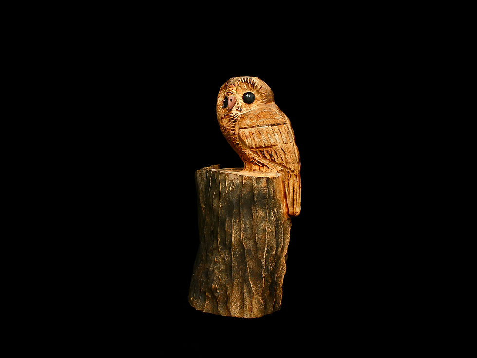 Thumbnail: Al the Owl