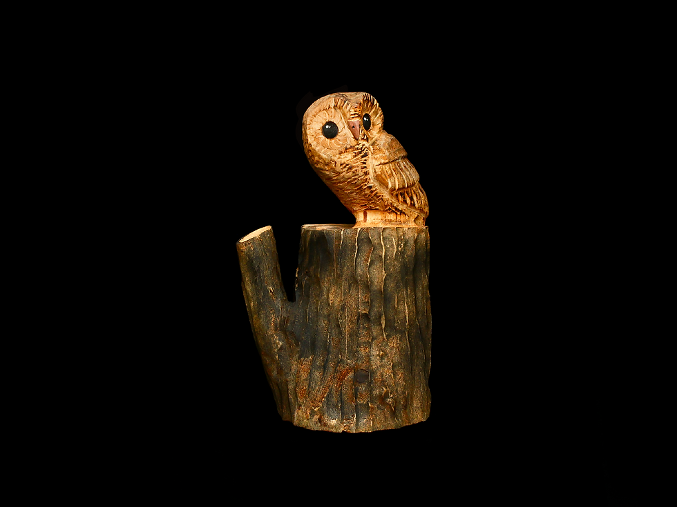 Thumbnail: Al the Owl