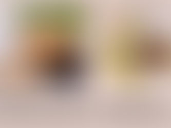 ಕೊಕೊನಟ್ ಶುಗರ್ vs ಬ್ರೌನ್ ಶುಗರ್: ಒಂದು ಹೋಲಿಕೆ