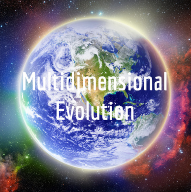 Manori on Multidimensional Evolution Podcast