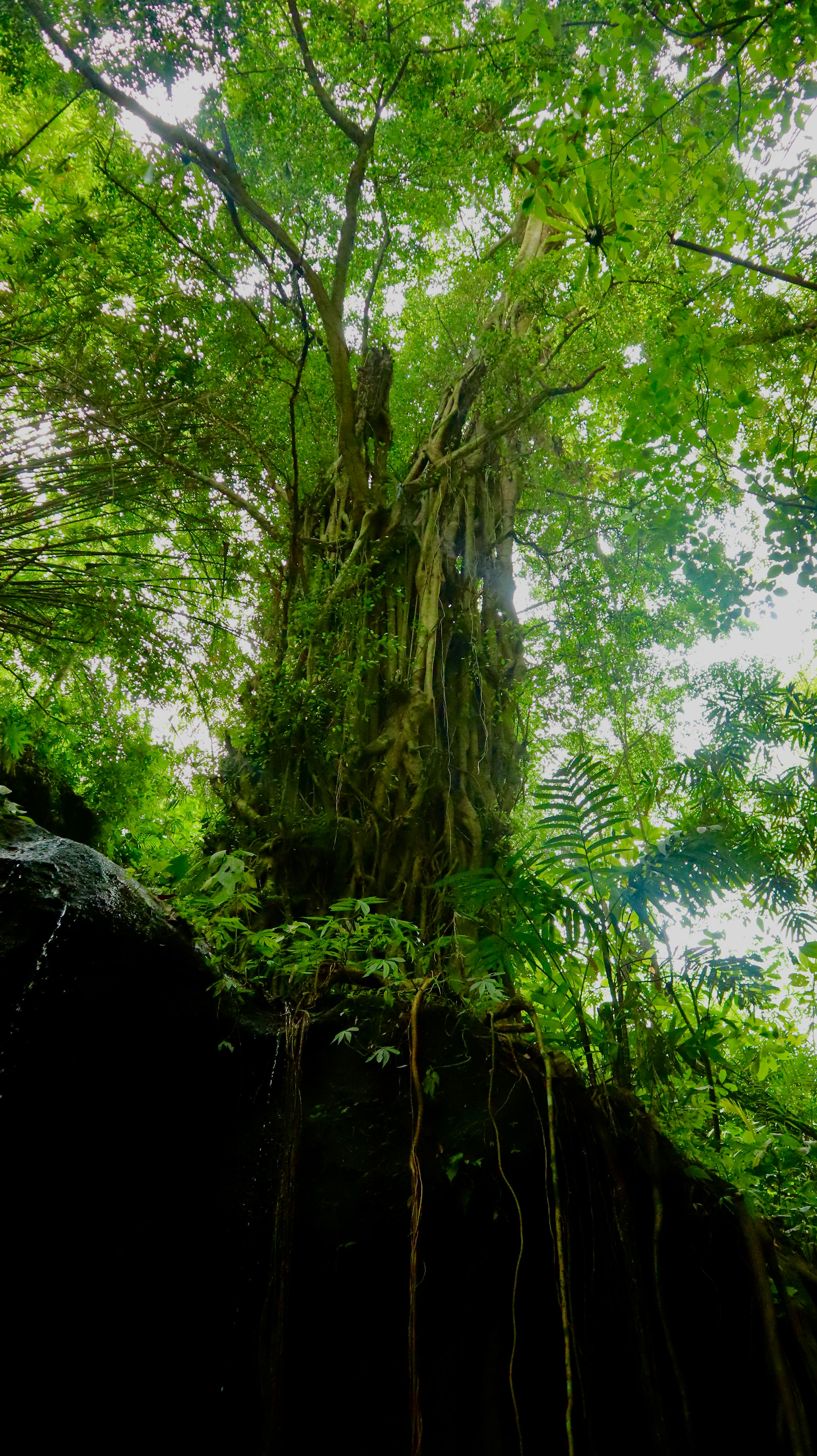 Banyon Tree Bali | Krisik Waterfalls