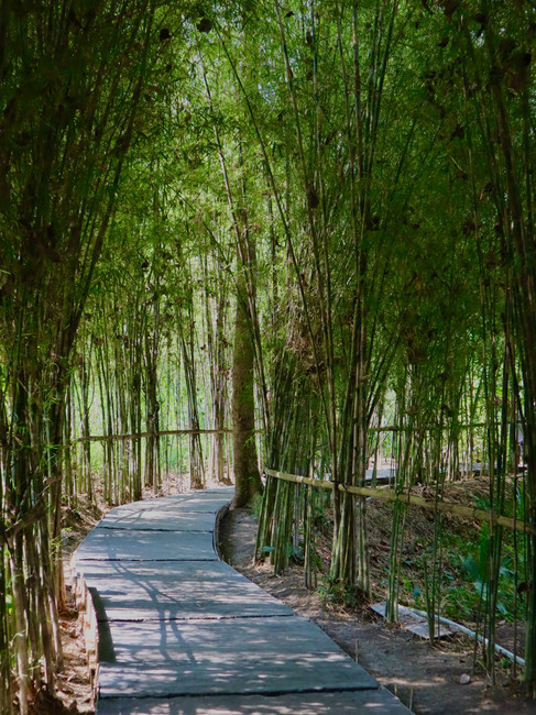 Suwat Waterfall Entrance Bali