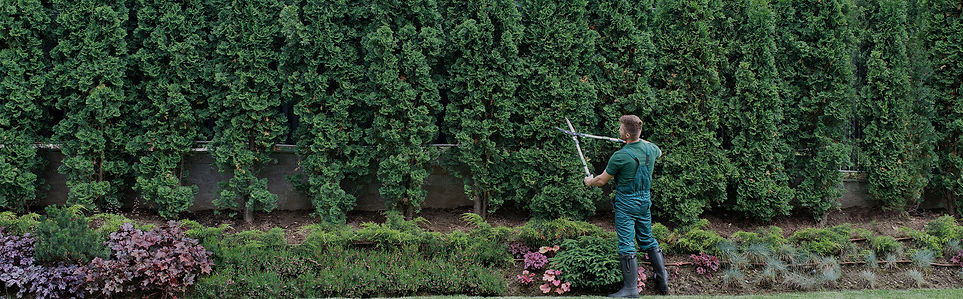 lawncare costs pricing price