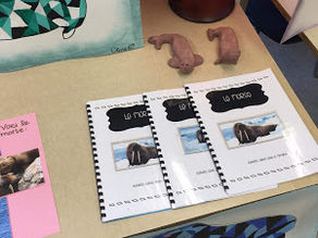 Projet sur les animaux polaires-écriture