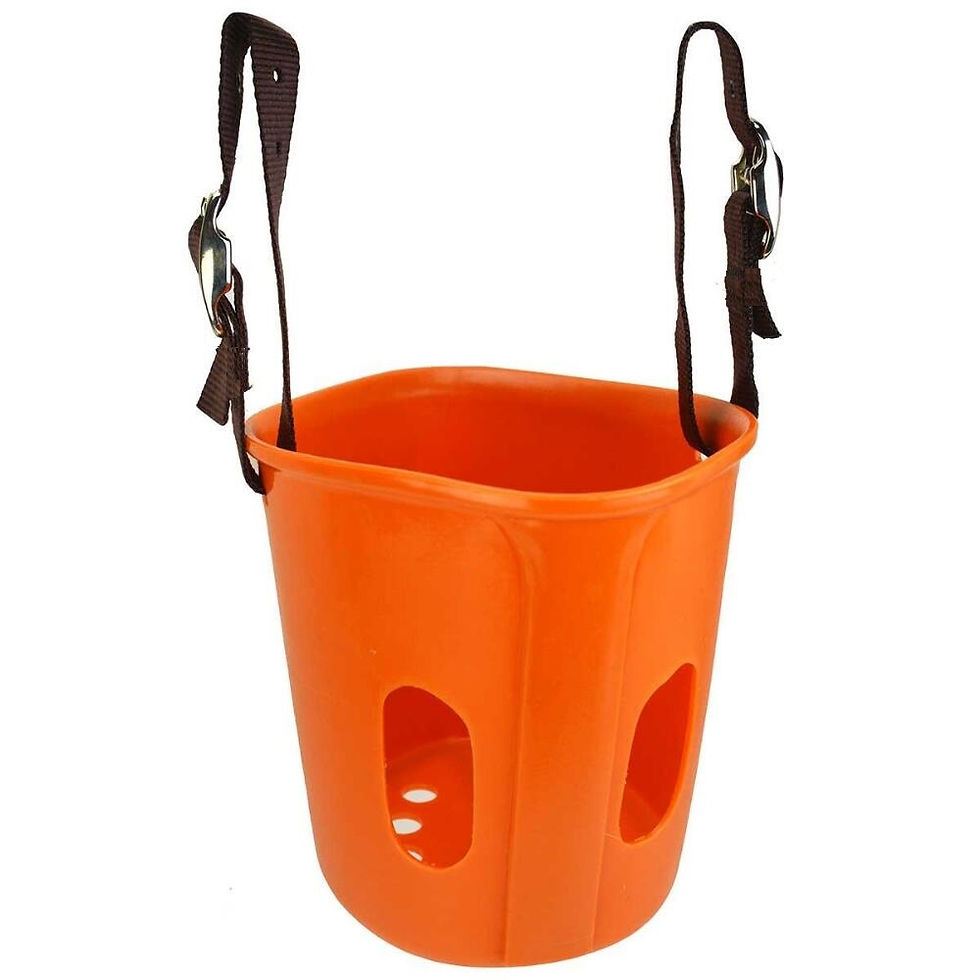 Thumbnail: Horse plastic muzzle