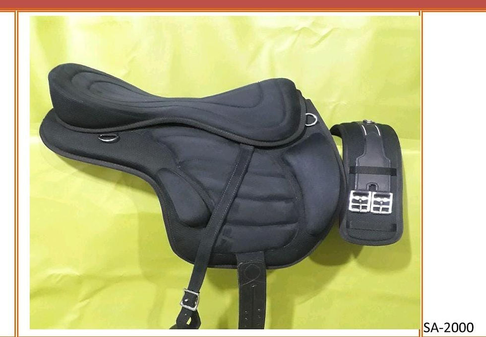 Thumbnail: SADDLE 