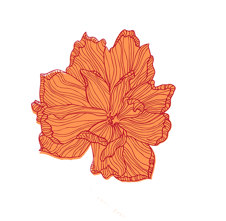 Asset 7.png