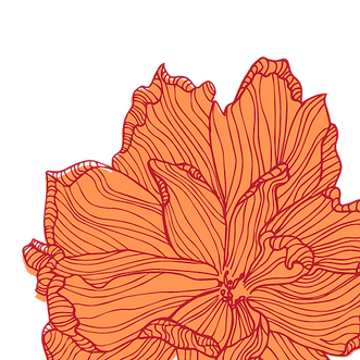 Asset 7.png