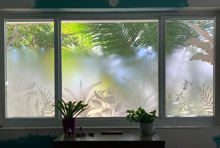 Decorative film design with clear frost gradient to leave top 25% of glass clear. Tropical plants in various degrees of white frost.