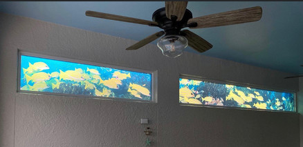 Custom colored frost design of an underwater photograph of the customer