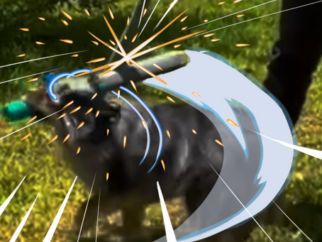 A dog swinging and clashing with another sword in an overexaggerated anime style