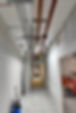 esc large pic.jpg
