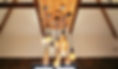 E747E20E-538B-4B7E-B11D-68266F8BD116_edited_edited.jpg