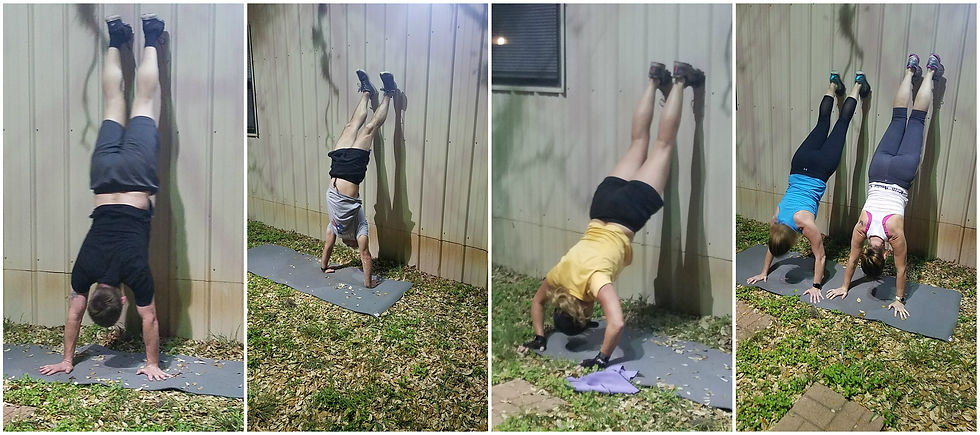 Handstand Pushups