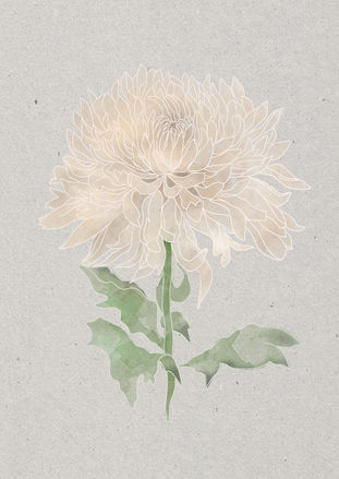 BEA SE VA A LEIDEN.jpg