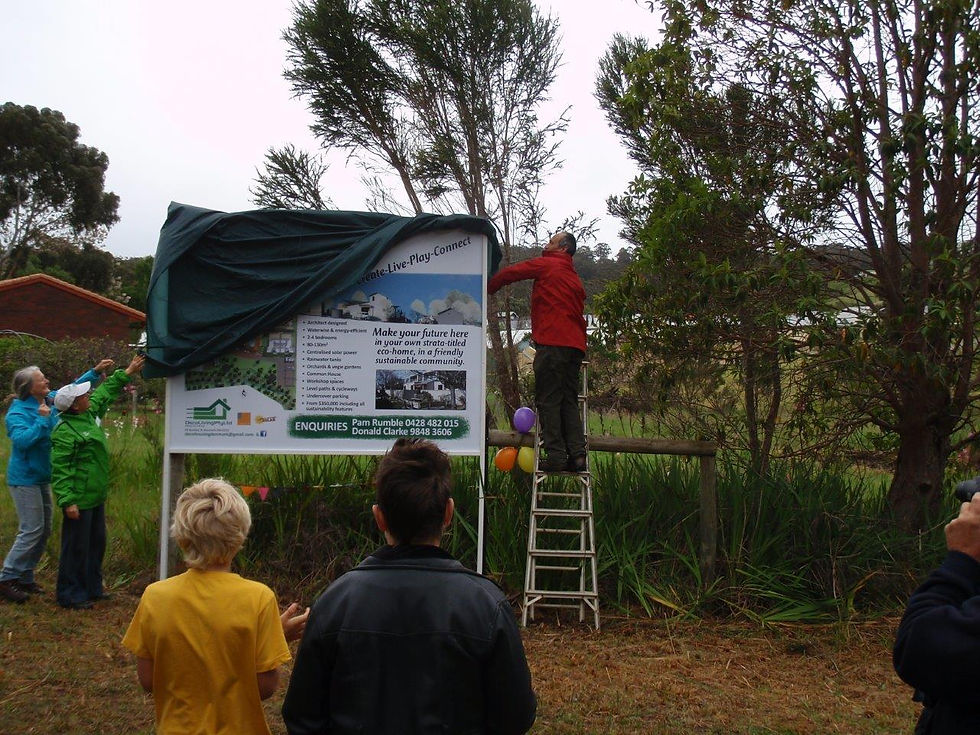 paul veils billboard.jpg