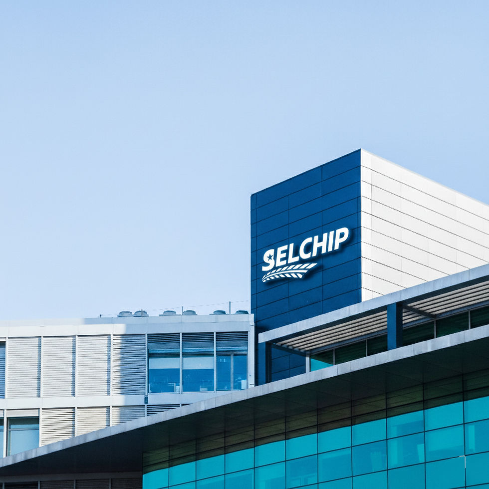 Selchip_HQ.jpg
