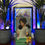 Thumbnail: Dragon ball - Glitter and Glamours Videl