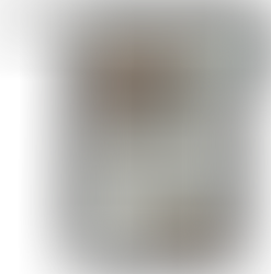 中日新聞に掲載されました