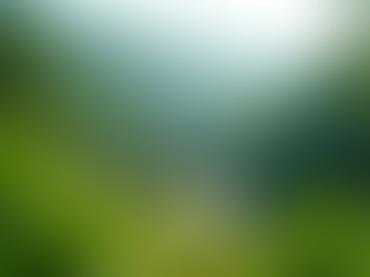 Discover the Spiritual Significance of Dosan Seowon