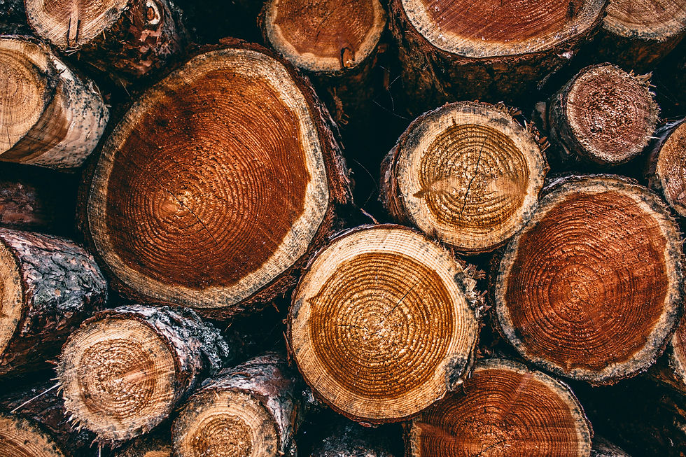 teakwood-sustainable-solid.jpg