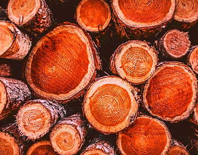 teakwood-sustainable-solid_edited.jpg