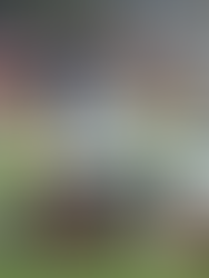 Zimbabwe rugby captain Hilton Mudariki lifts the Africa Cup trophy in celebration as the Sables qualify for the 2027 Rugby World Cup, ending a 34-year drought. Teammates cheer around him in their green-and-white kits at Mandela National Stadium in Kampala after a dramatic 30–28 win over Namibia.