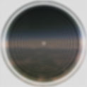 fullsizeoutput_743.jpeg