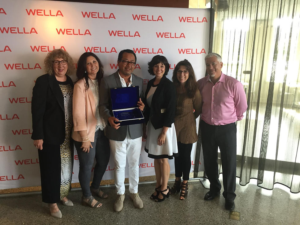2017 Gold Award - WELLA