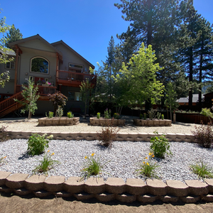 A Tahoe Timeless Landscape