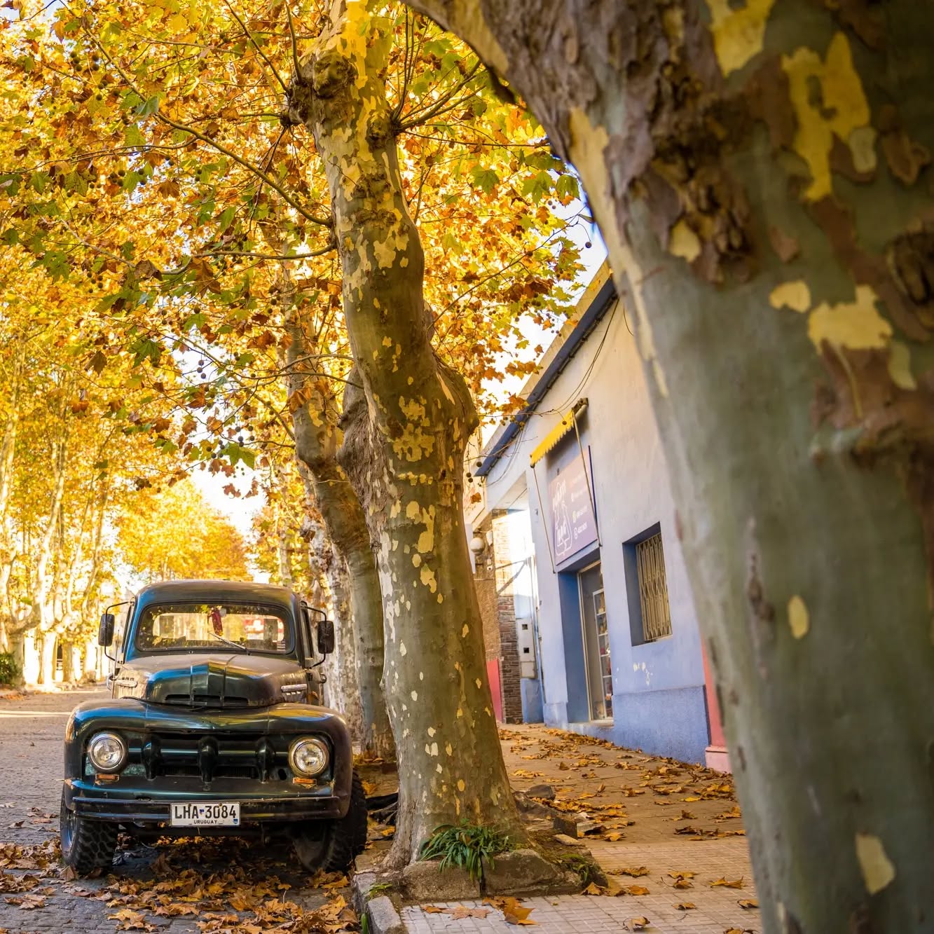 コロニア・デル・サクラメント