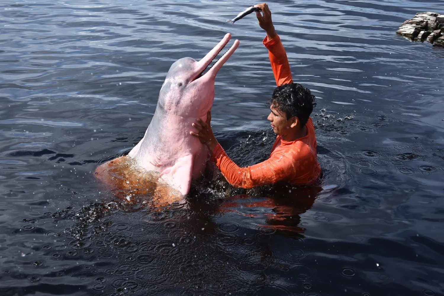  エボルソン・エコロッジ