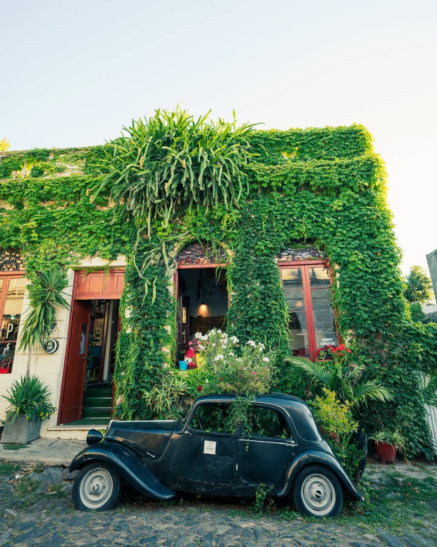 コロニア・デル・サクラメント