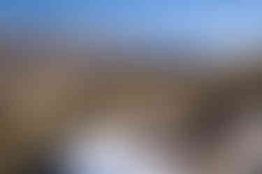 アワジ・メンドーサ