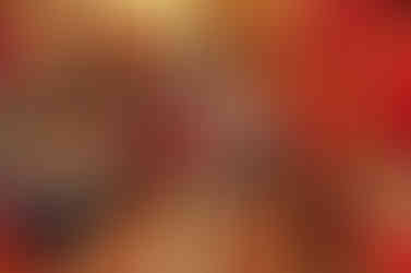 インディアンマーケット