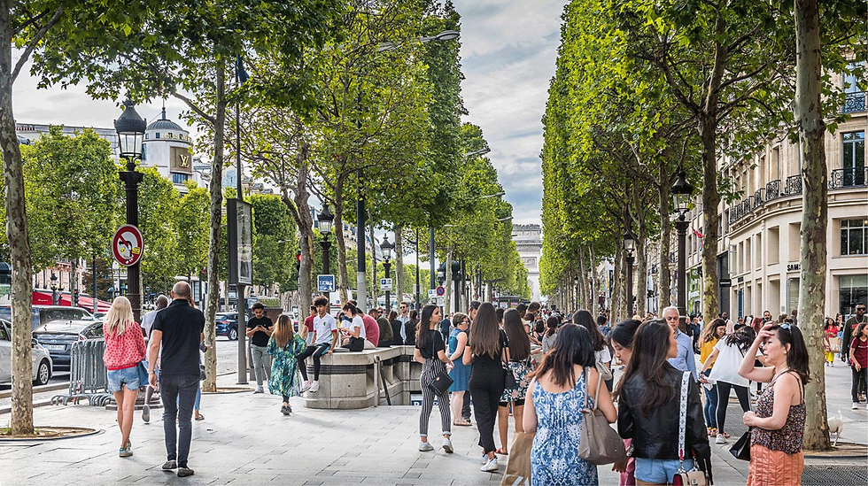 緑豊かな街路樹が並ぶ通りで、多くの人々が歩いたり、会話を楽しんでいる。背景には建物と青空が広がっている。