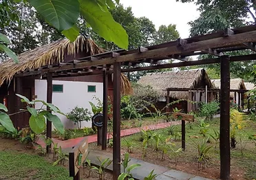 マナウスホテル info f t s turismo