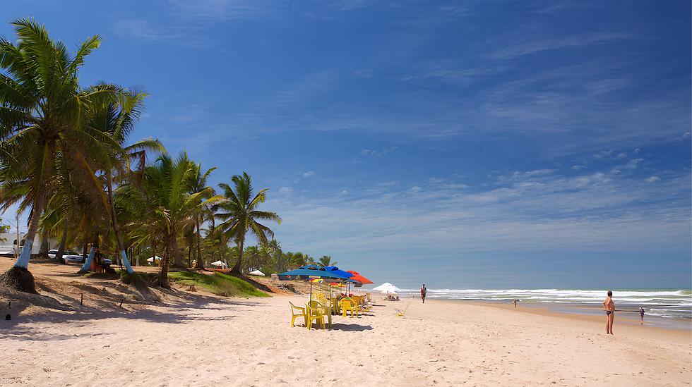 青い空の下、ヤシの木が並ぶビーチ。砂の上に黄色い椅子とカラフルなパラソルが並び、人々が水辺で楽しんでいる。