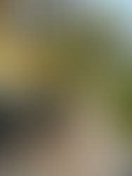 Riad Botanica - Marrakech