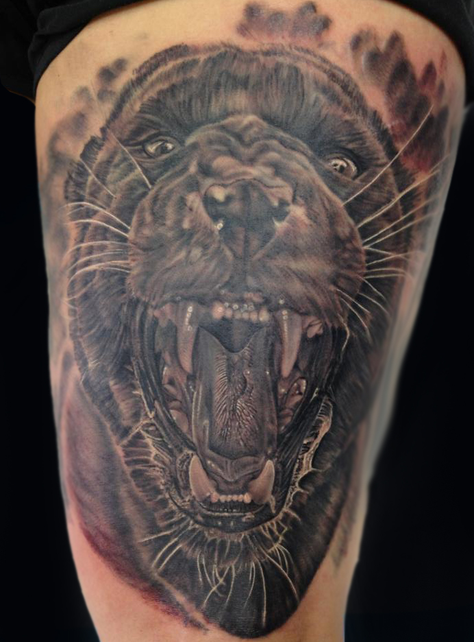 cat back